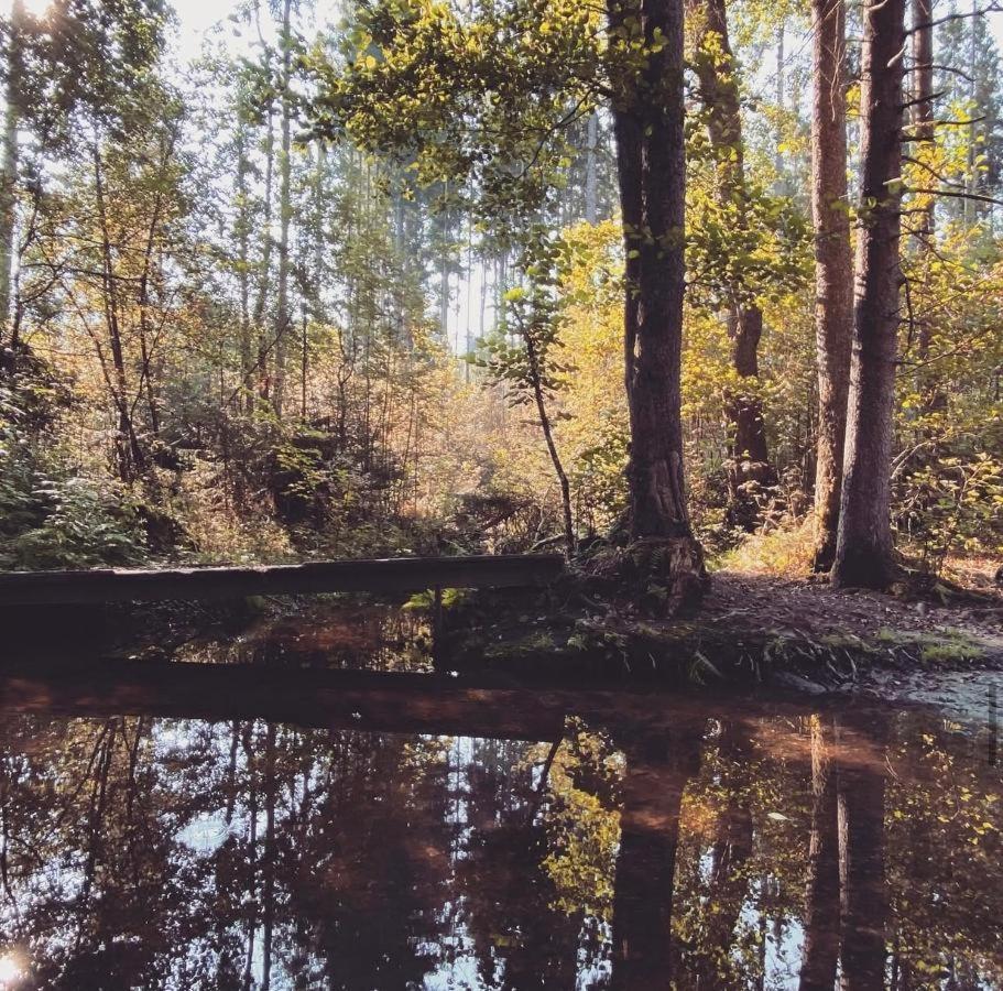 Ferienwohnungen Holzferienhaeuser Leithenwald ツヴィーゼル エクステリア 写真