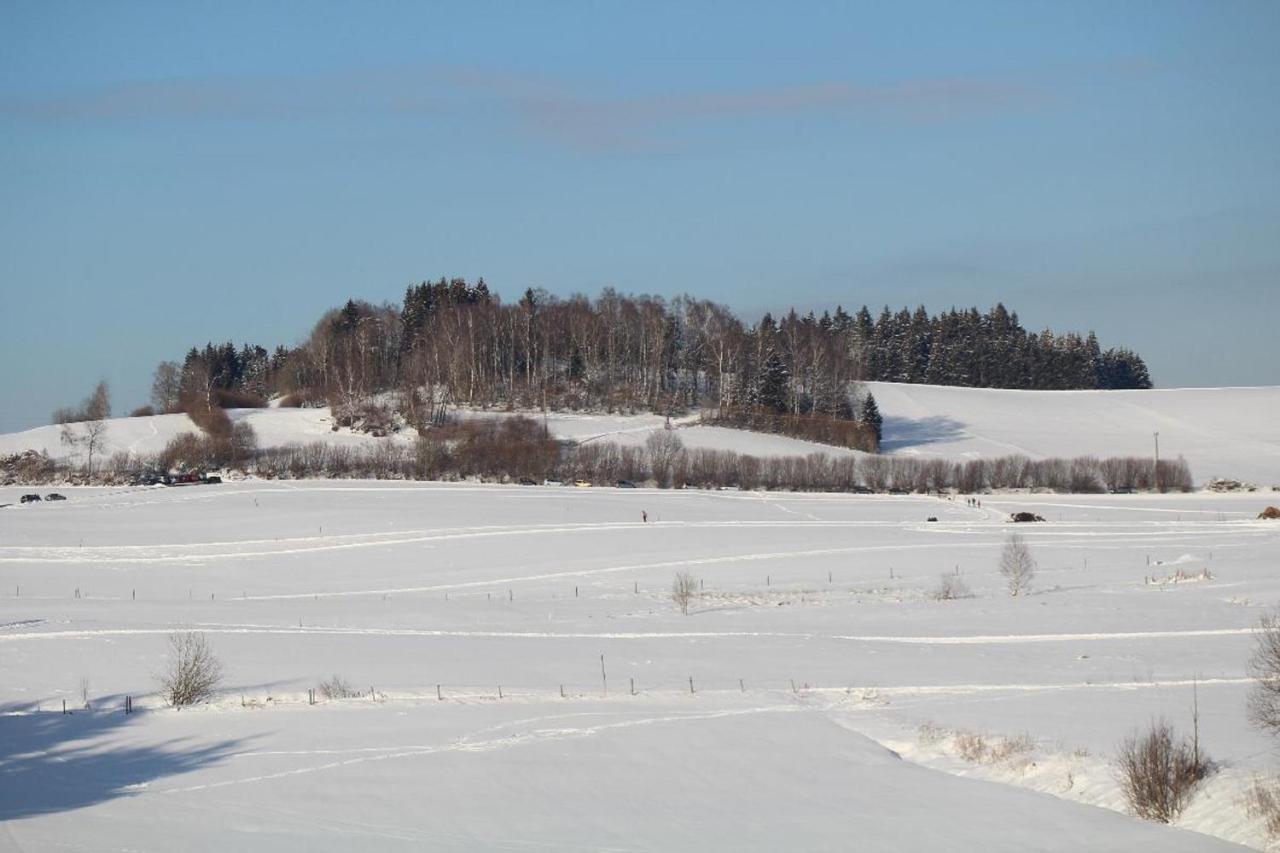 Ferienwohnungen Holzferienhaeuser Leithenwald ツヴィーゼル エクステリア 写真