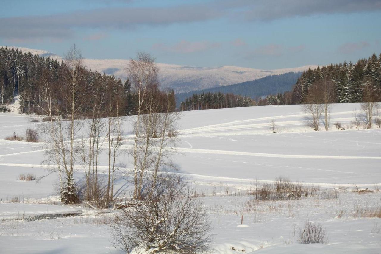Ferienwohnungen Holzferienhaeuser Leithenwald ツヴィーゼル エクステリア 写真